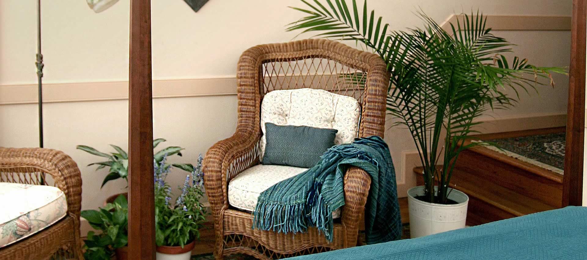 Tillies Room cozy chair with palm